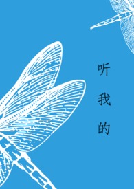 听我的歌你会流泪完整版