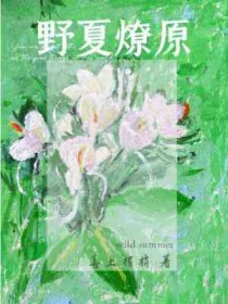 野夏炙热