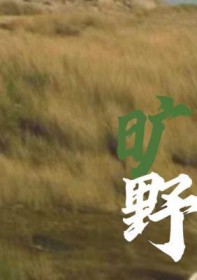 旷野之渡金丙全文免费阅读